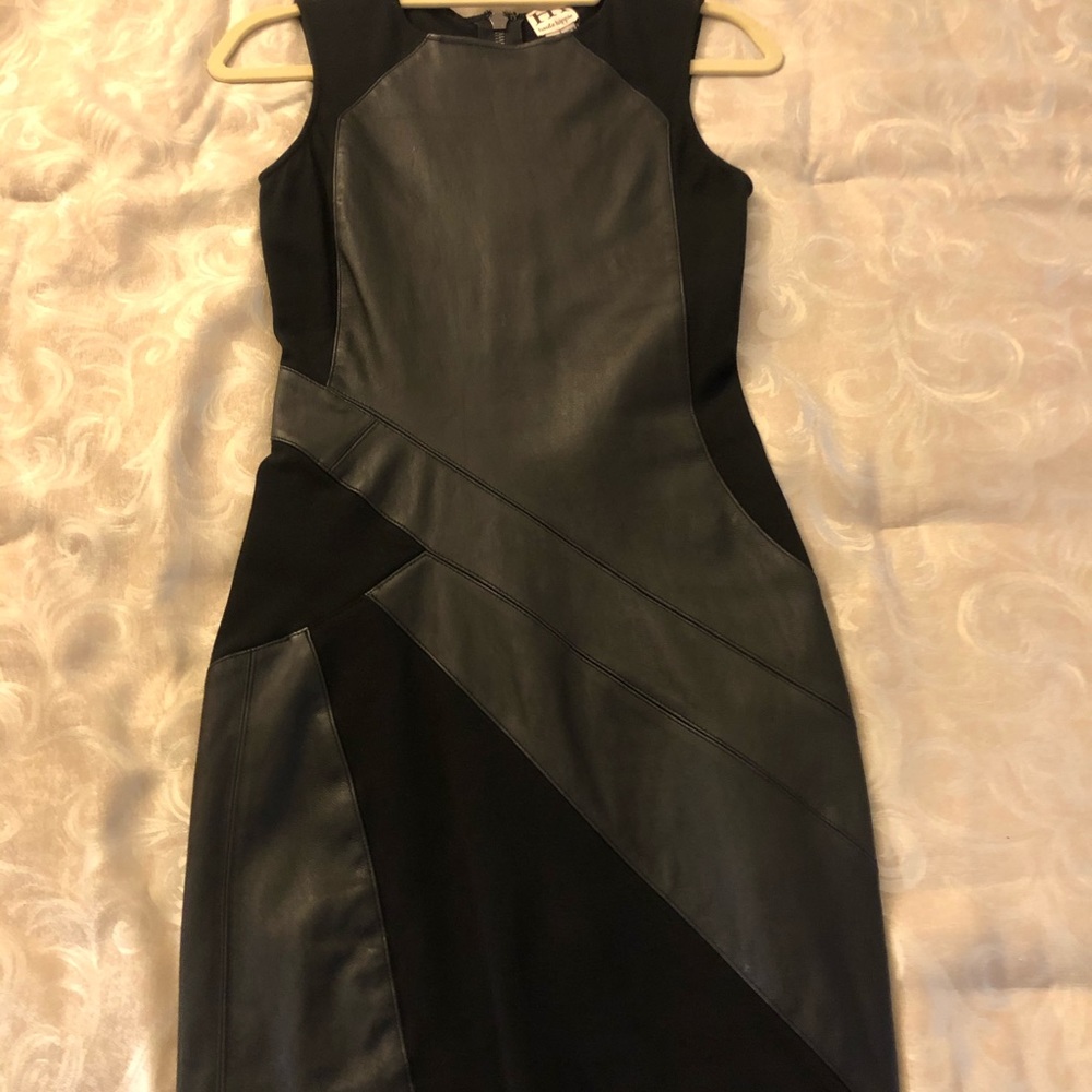 Haute Hippie Leather Paneled Dress